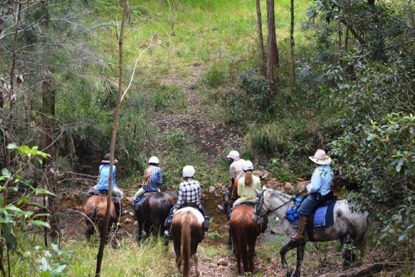 m Horse Riding Group 768x512 1